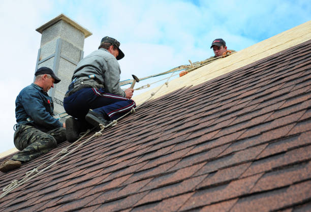 Best Shingle Roofing Installation  in Belle Chasse, LA